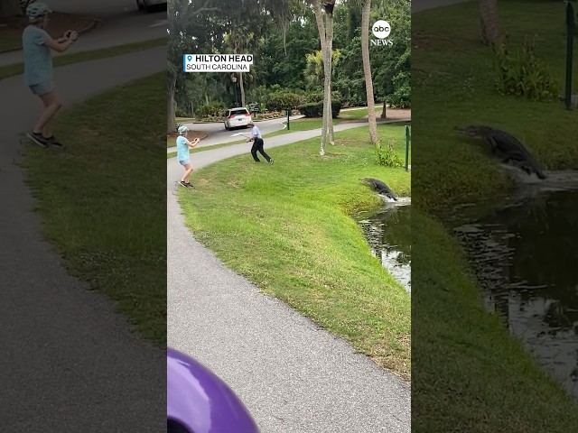 A man visiting Hilton Head, South Carolina, captured moment a fisherman was charged by an alligator