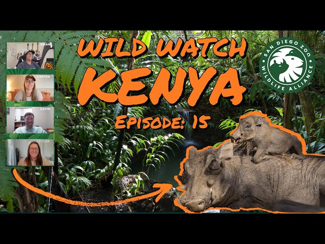 Wildwatch with Us: Ep. 15