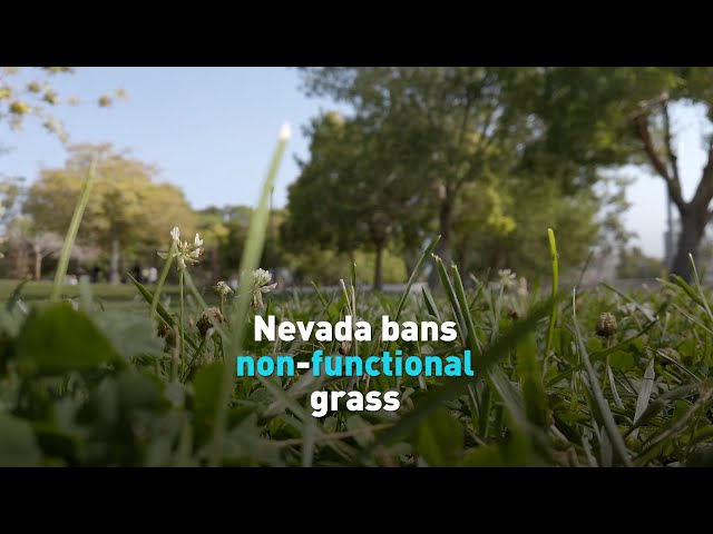 Nevada bans non-functional grass