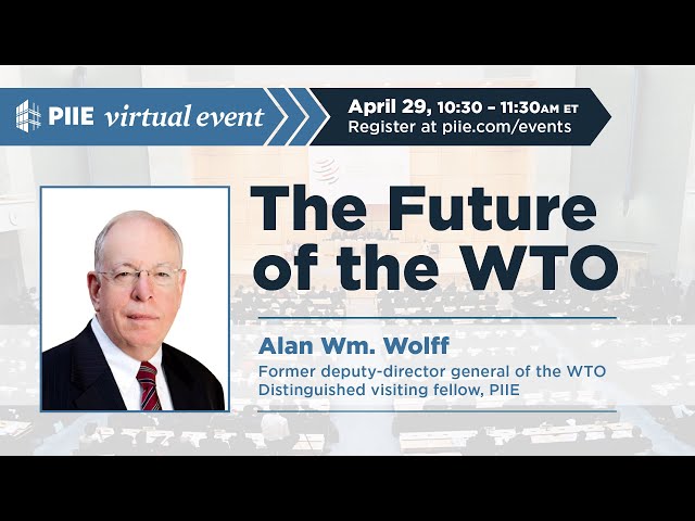 The Future of the WTO