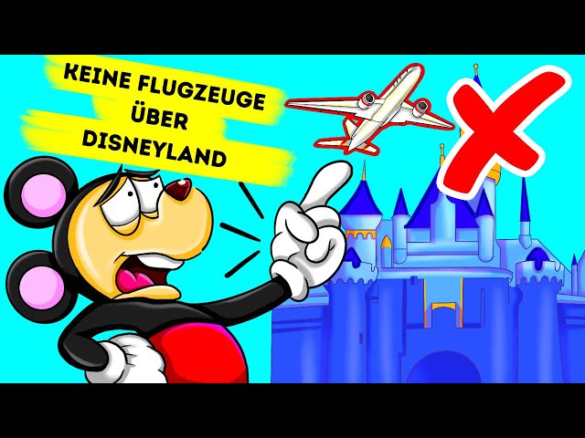 Warum Flugzeuge nicht über Disneyland fliegen können