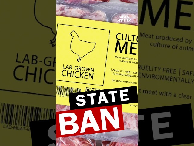 Ban Lab-Grown Meat 🍗