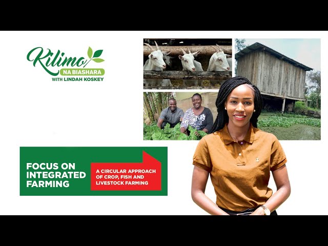 Focus on Integrated Farming | Kilimo na Biashara