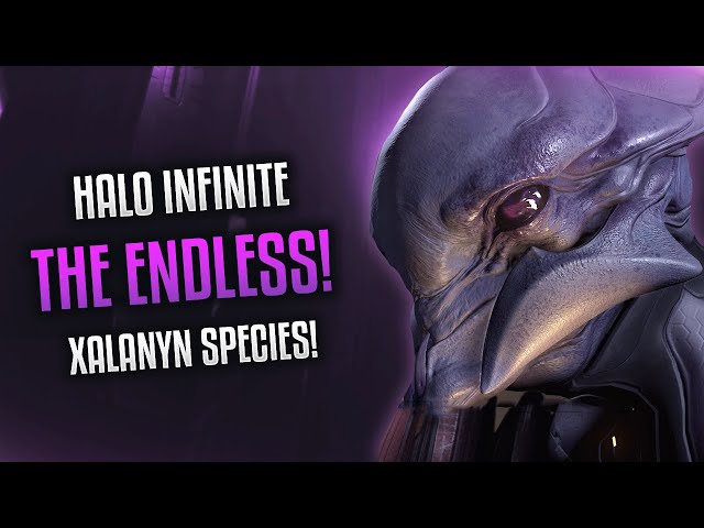 Halo Infinite - THE ENDLESS REVEALED! Xalanyn Species, Surviving Halo, Precursors and More!