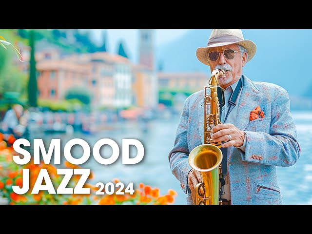 Saxophone Collection 2024 | Jazz smood🎷