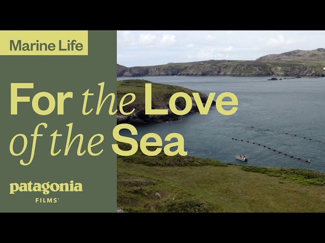 For the Love of the Sea | Patagonia Films