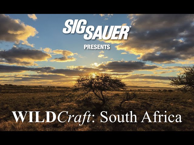 WILDCraft: South Africa Sizzle Reel