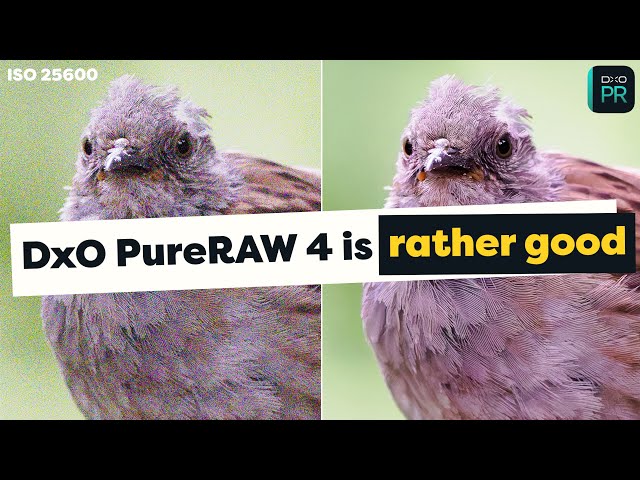 DxO PureRAW 4 is a Huge Improvement