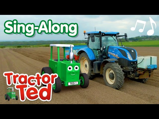 Potato Planting Song 🥔 | Tractor Ted Sing-Along 🎶 | Tractor Ted Official Channel