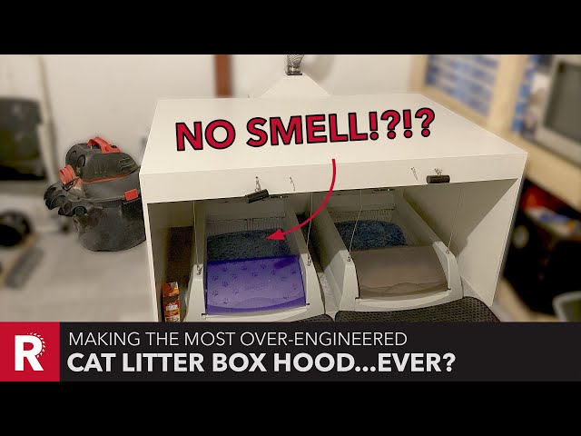 How To Eliminate Litter Box Odor in Your House