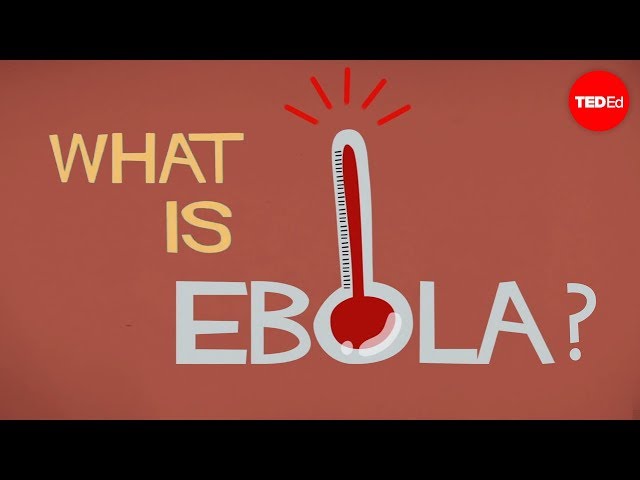 What we know (and don't know) about Ebola - Alex Gendler
