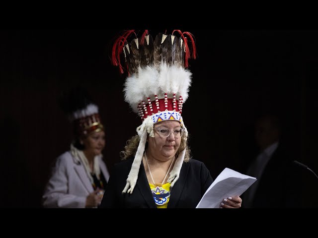 AFN chief ‘stunned’ by Air Canada putting sacred headdress in a garbage bag