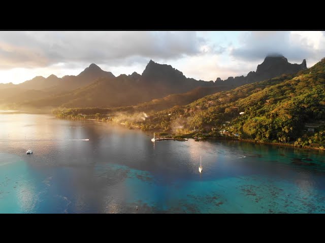 Tropical Island Paradise Tahiti & Moorea | Drone