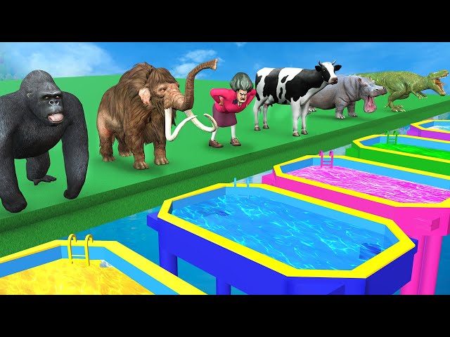 Don't Choose The Wrong Mystery Pool With Gorilla Cow Mammoth Elephant Tiger Dinosaur Scary Teacher