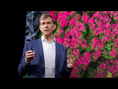 A New Economic Model For Protecting Tropical Forests  | Nat Keohane | TED