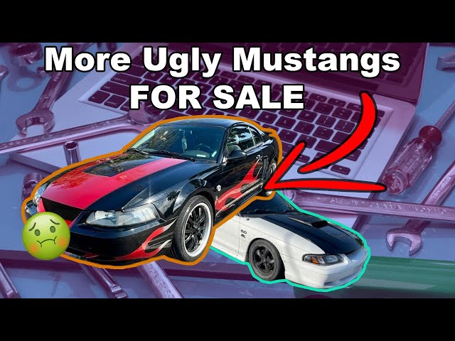 Ugly Mustangs of  Facebook Marketplace - Ricer Mustangs for Sale - New Edge and SN95 Mustangs