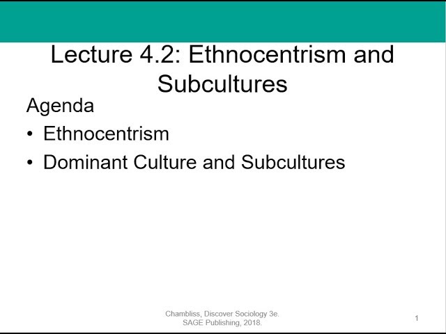 Soc 101 Lecture 4.2: Ethnocentrism and Subcultures