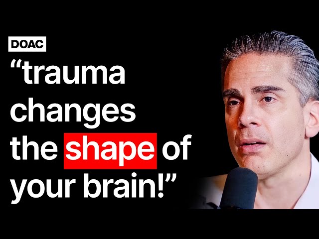 No.1 Childhood Trauma Doctor: 10 Lies They Told You About Your Childhood Trauma! - Paul Conti