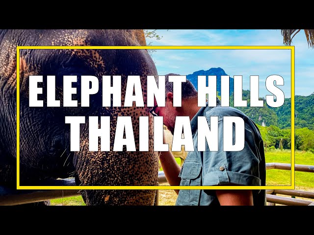 Elephant Hills Thailand: Our Three-Day Jungle And Lake Safari at an Ethical Elephant Sanctuary