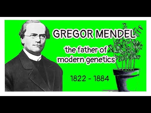 Gregor Mendel, the father of modern genetics.