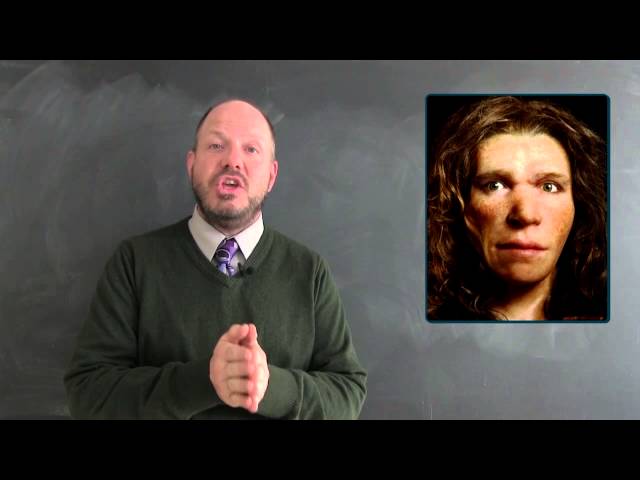Ancient genomes 2: Neandertals within us