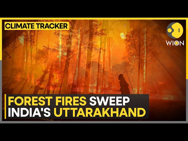 India: Cloud seeding to be implemented in Uttarakhand | WION Climate Tracker