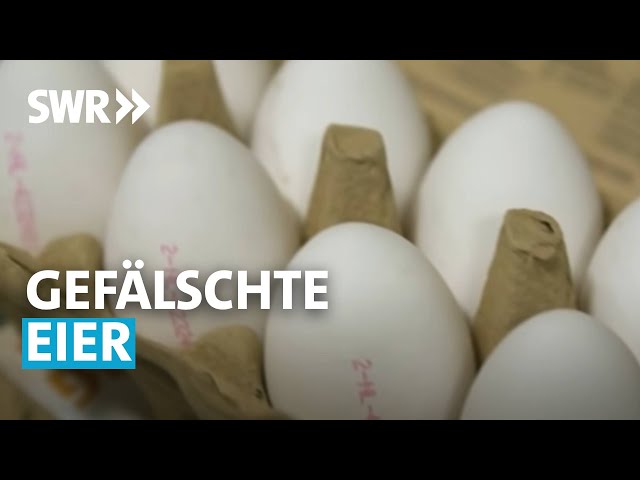 Gefälschte Eier - Wie uns die Industrie austrickst | SWR betrifft