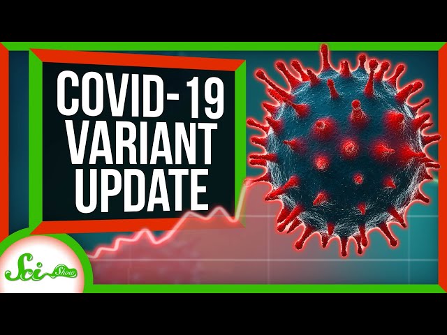 We Know More About Those COVID-19 Variants. It's Not Great | SciShow News