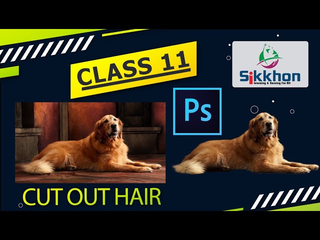 11- Hair Cut in Photoshop: How to Cut Out Hair in Photoshop | Sikkhon
