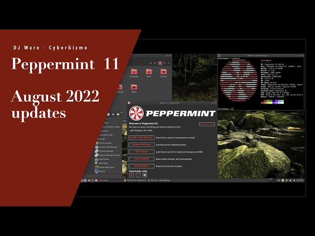 PepperMint OS 11 August 2022