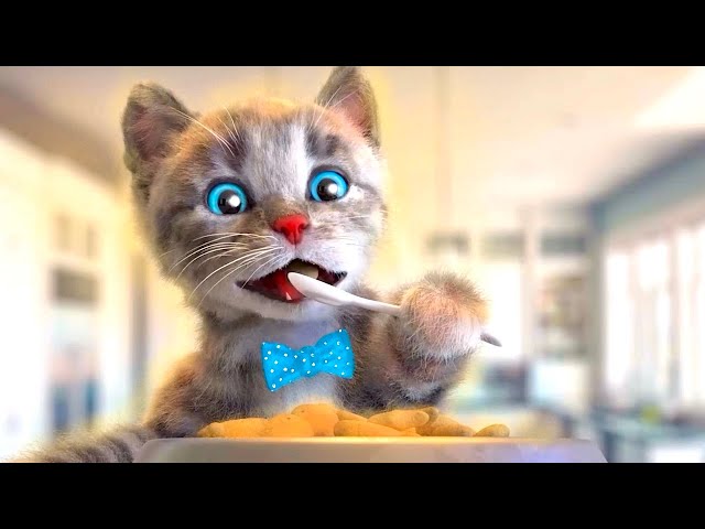 Cartoon Animation Little Kitten Adventure - Fun Educational Learning Cat Story for Kids
