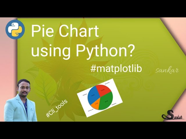 Pie Chart using Python
