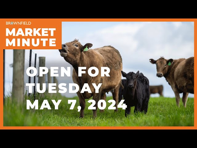 Cattle are up early Tuesday | Opening Market Minute