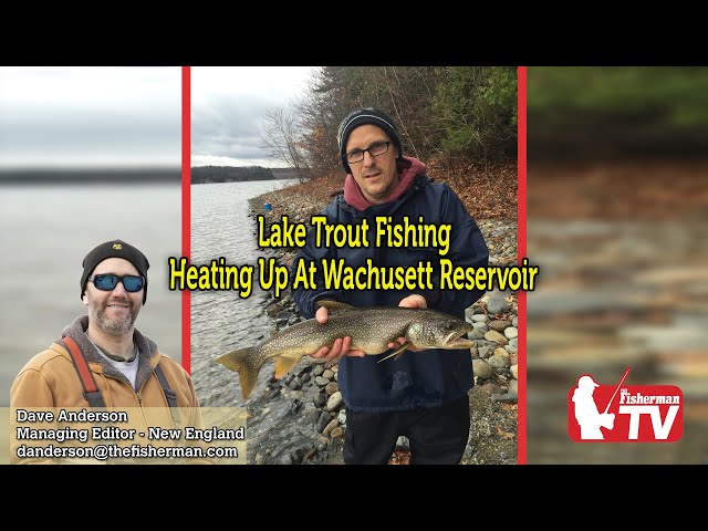 November 30th 2023 New England Video Fishing Forecast with Dave Anderson