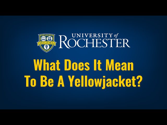 What Does It Mean To Be A Yellowjacket?