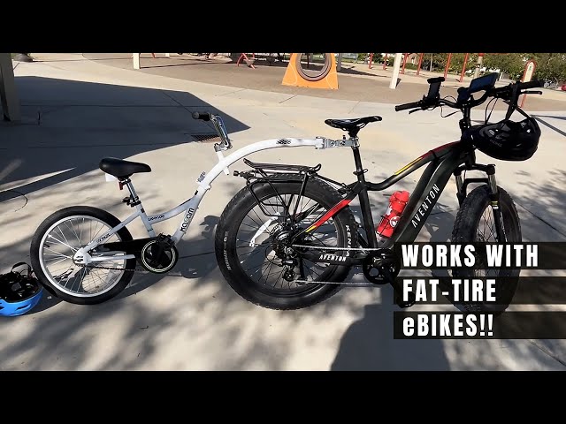 Kazam Wee Co-Pilot Review | Fits Fat-Tire eBikes #electricbike #fattire #cycling