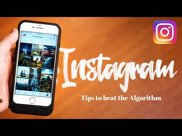 Grow ORGANICALLY on INSTAGRAM - 10 Tips to beat the ALGORITHM!!