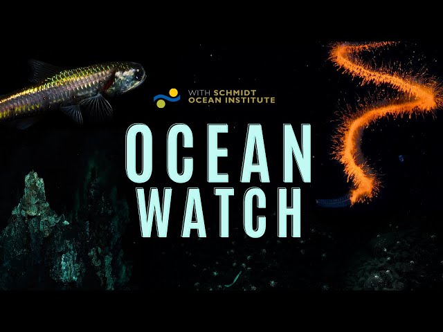 Ocean Watch | A Tale of Deep Sea Exploration
