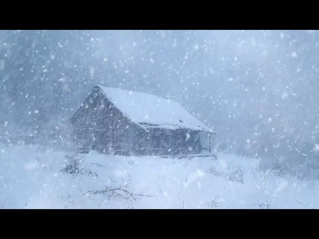 Frosty Wind Sound for Sleeping & Freezing Blizzard Storm | Winter Ambience - Sound to Study & Relax