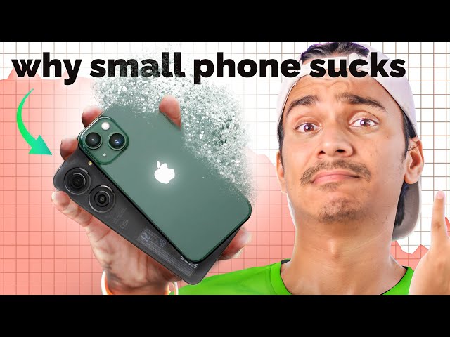 Why Smartphone Companies Hate Small Phone?