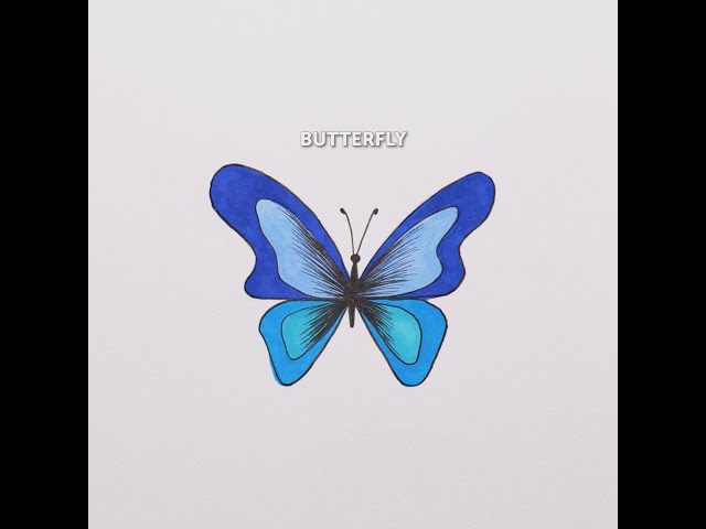 Simple Coloring Trick And Easy Butterfly Drawing Hack🌈🦋