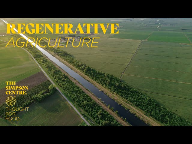 Regenerative Ag: On the Ground vs. In the Books - Webinar - March 13 2024