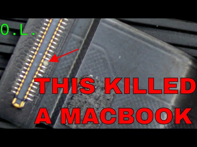 Macbook killed by a spec of dust...