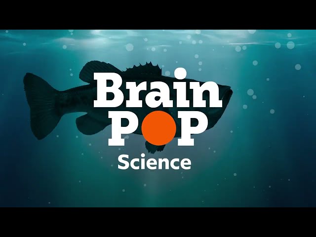 Meet BrainPOP Science