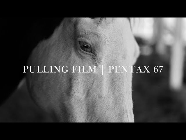 Pulling Ilford HP5 with the Pentax 67