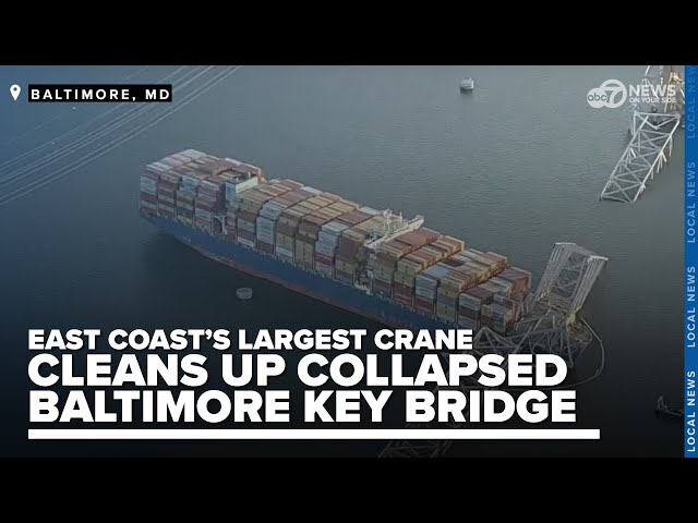 Eastern Shore's largest crane to clean up collapsed Baltimore Key Bridge