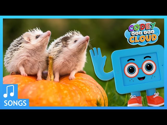 Little Hedgehog Song | Codey And The Cloud S1 • E12