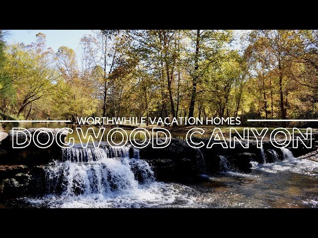 Breath taking Waterfalls of Dogwood Canyon!!! Absolute Must Visit!!!