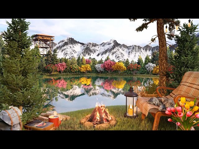 Cherry Blossoms by Spring Lake Ambience with Cozy Campfire and Forest Birdsong for Sleep or Relax