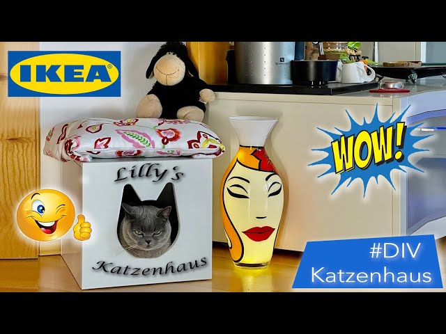 DIY: Britisch Kurzhaar - Lilly's neues Katzenhaus #BritischKurzhaarKatze #DIY